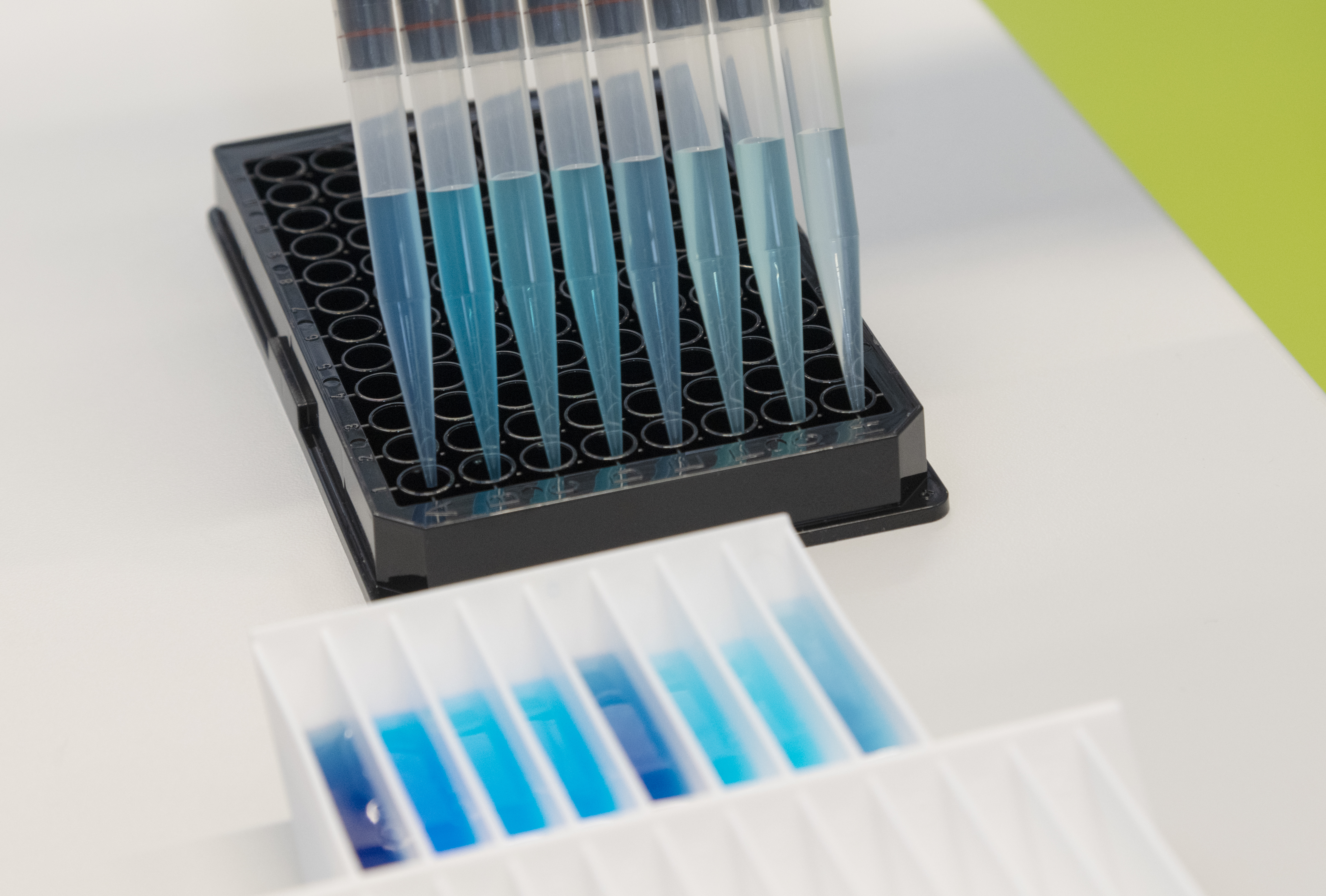 Falsch positive Ergebnisse im ELISA