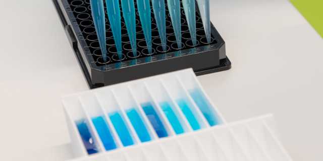 False positive results in ELISA