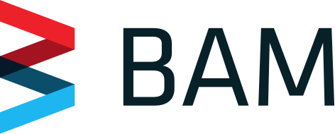 BAM LOGO