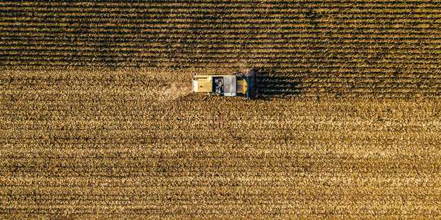 Findings from the COCERAL Study: Mycotoxin Profiles Are Changing: Co-Contaminations Are Becoming a New Challenge